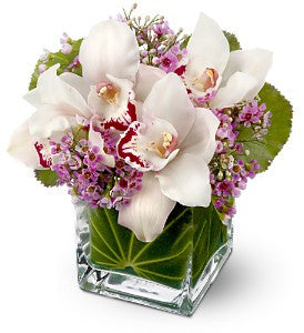 Lovely Orchids - Saucha Floral Design