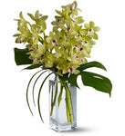 Orchid Bouquet - Saucha Floral Design