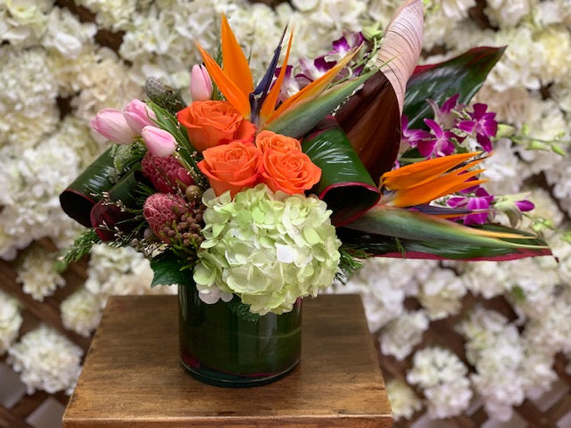 Tropical Designers Choice - Saucha Floral Design
