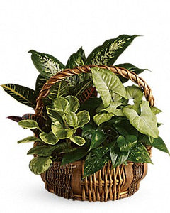 Garden Basket - Saucha Floral Design