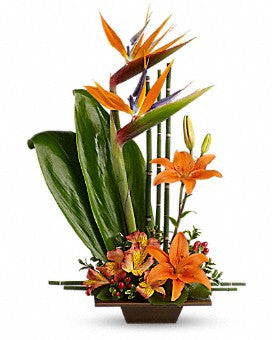 Exotic Tropical - Saucha Floral Design