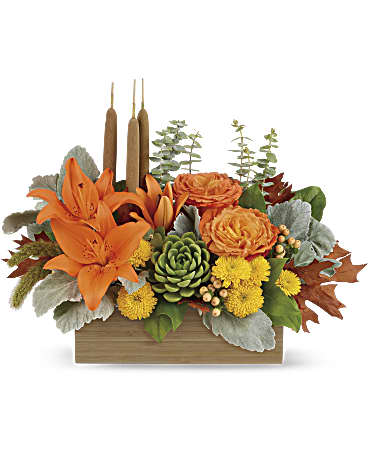 Fall Garden - Flowers by Sauchas