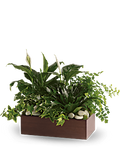 Quiet Expressions - Saucha Floral Design