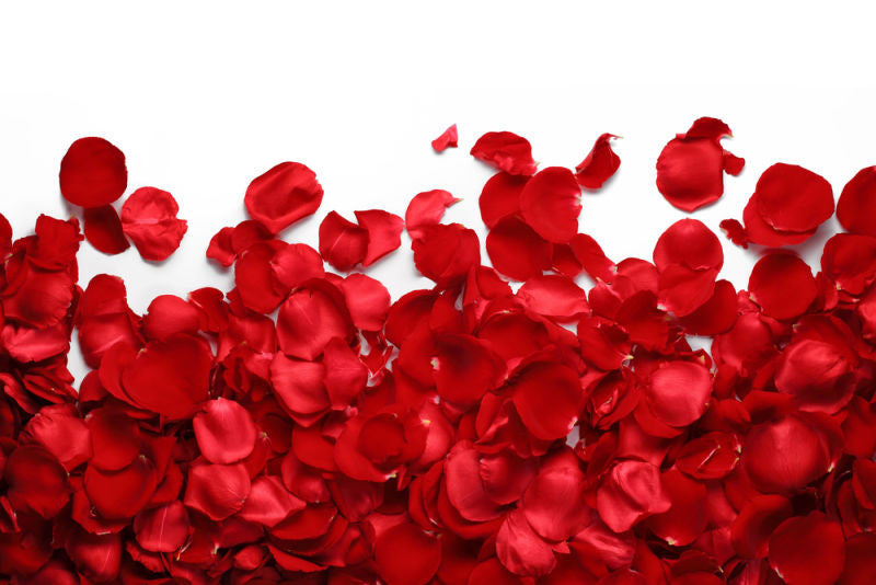 rose pedals Fresh Rose Petals